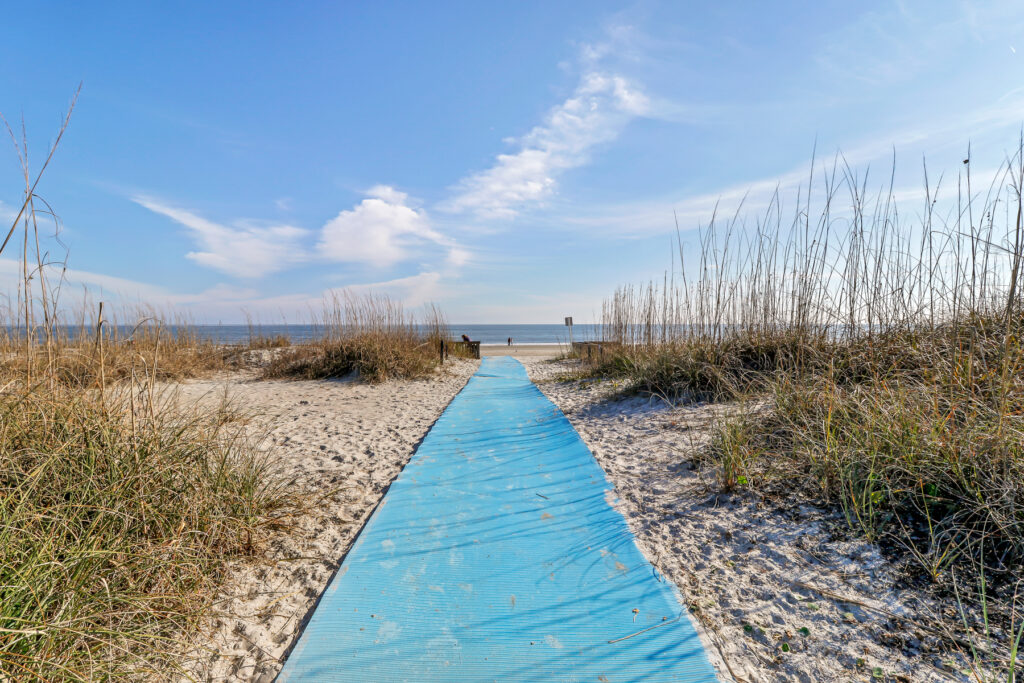 Folly Field Beach Walk